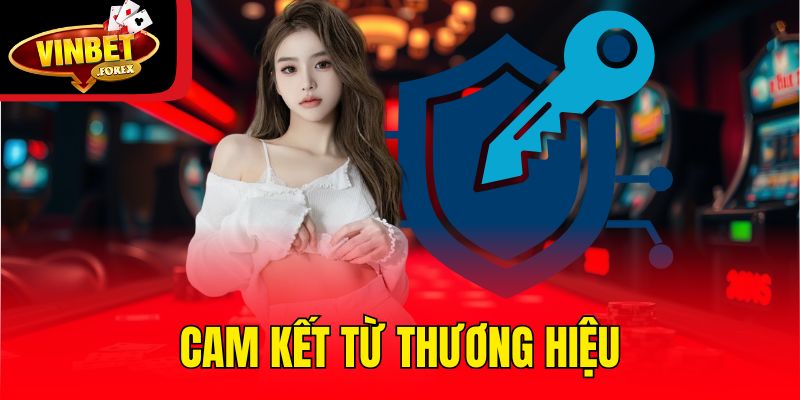 Cam kết từ thương hiệu